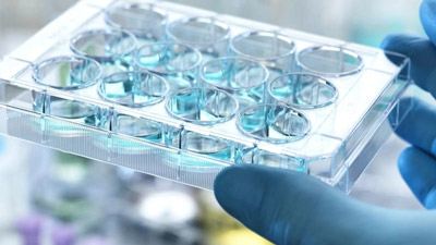 翰森制药：EQRx关于阿美替尼用于治疗表皮生长因子突变的非小细胞肺癌上市许可申请获EMA受理